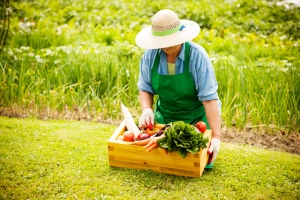 gardening senior woman vegetables white